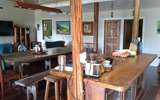 The Captain’s Dream! Central Golfito Home + Imemsa Boat & Diving Gear