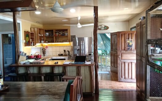 The Captain’s Dream! Central Golfito Home + Imemsa Boat & Diving Gear