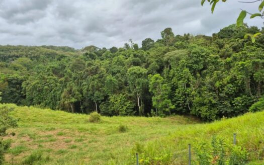 Peaceful Rural Oasis Minutes from Pavones, Zancudo and Pilón