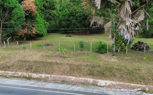 Strategic Investment in Purruja: 45 Acres with Ocean Views