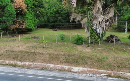 Strategic Investment in Purruja: 45 Acres with Ocean Views