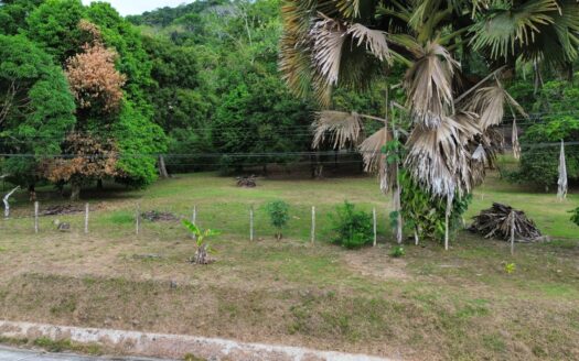 Strategic Investment in Purruja: 45 Acres with Ocean Views