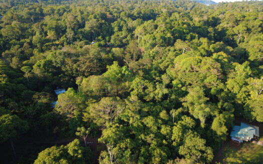 Unique Opportunity in Tropical Paradise: 11,976 m² Land Near Corcovado National Park