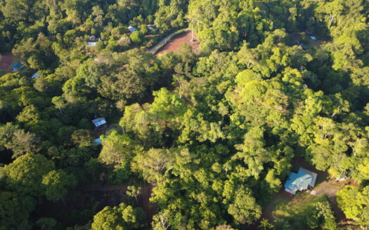 Unique Opportunity in Tropical Paradise: 11,976 m² Land Near Corcovado National Park