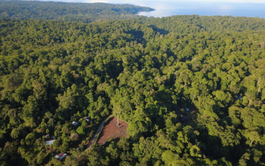 Unique Opportunity in Tropical Paradise: 11,976 m² Land Near Corcovado National Park