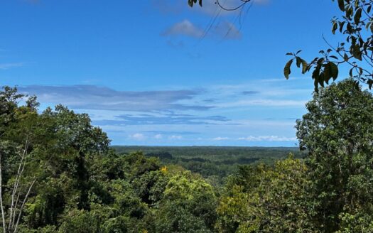 Osa Ocean View Waterfall Estate