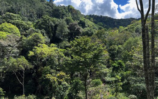 Osa Ocean View Waterfall Estate