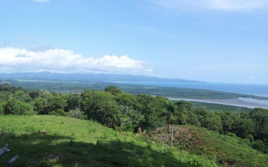Pristine 227 Acre Golfo Dulce View Development Parcel