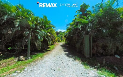 3 Cabinas Downtown Pavones Titled Investment Property