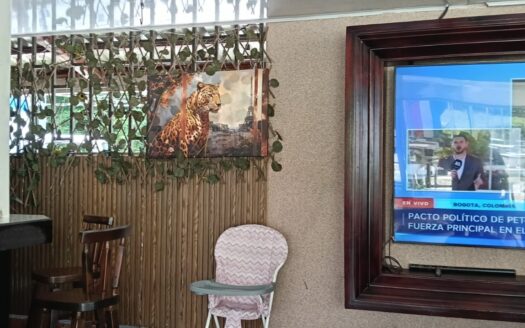 Prime Investment! "La Pista" Bar & Restaurant – The Gateway to Golfito ✈️🥂