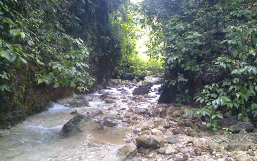 Farm for Sale in Llano Bonito, Golfito Puntarenas | 165 Hectares (Approx.) Near Río Claro