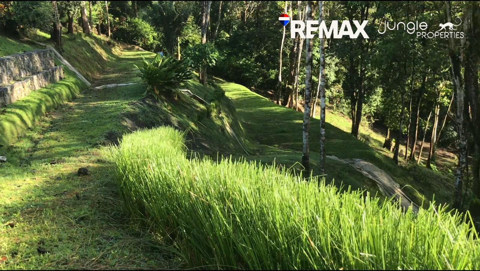 Land for Sale in Pavones 8104m² | Jungle View Property Near Pavones Beach