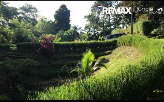 Land for Sale in Pavones 8104m² | Jungle View Property Near Pavones Beach