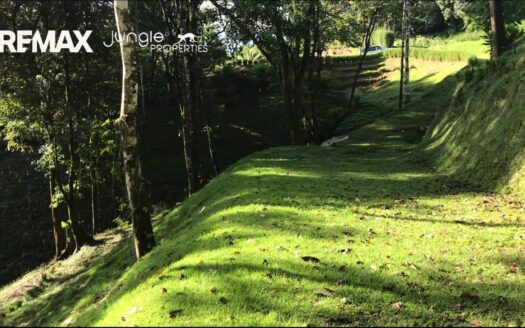 Land for Sale in Pavones 8104m² | Jungle View Property Near Pavones Beach