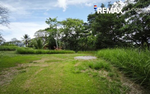 Land for Sale in Pavones 8104m² | Jungle View Property Near Pavones Beach