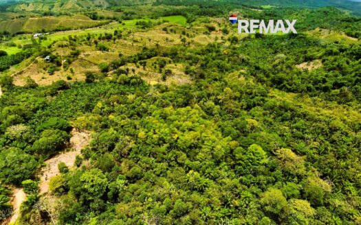 Land for Sale in Costa Rica | 5 Hectares Near Golfito & Pavones Close to River