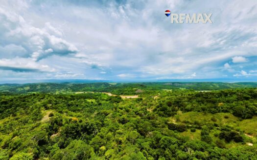 8.8 Hectares Land for Sale Near Pavones Costa Rica with Ocean and River Views