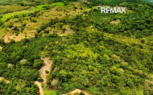 Land for Sale in Costa Rica | 5 Hectares Near Golfito & Pavones Close to River