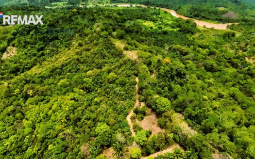 7 Hectares for Sale Near Pavones Costa Rica – Ocean & River View Eco Property