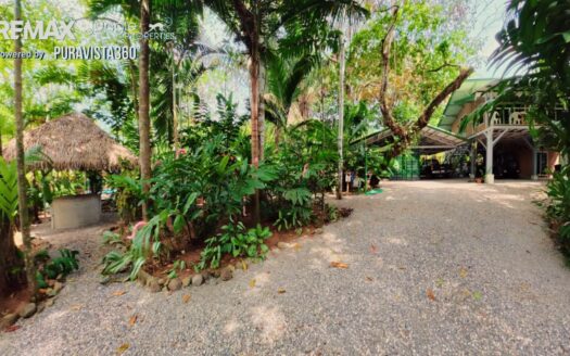 Property for Sale in Pavones Costa Rica | Premium Jungle Estate Steps from a World-Class Surf Break