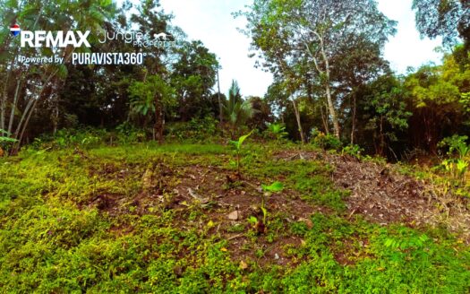 Lot for Sale in Pavones Costa Rica | 900 m² Jungle Property in Santa clara