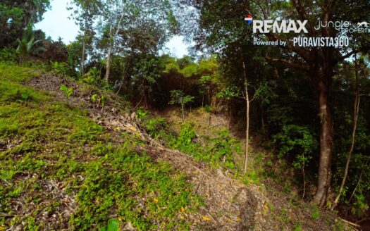 Lot for Sale in Pavones Costa Rica | 900 m² Jungle Property in Santa clara