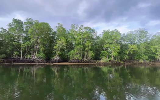 ! Hot Deal in Sierpe! Established Hotel & Bar Near River Tours – Just $150,000 !!