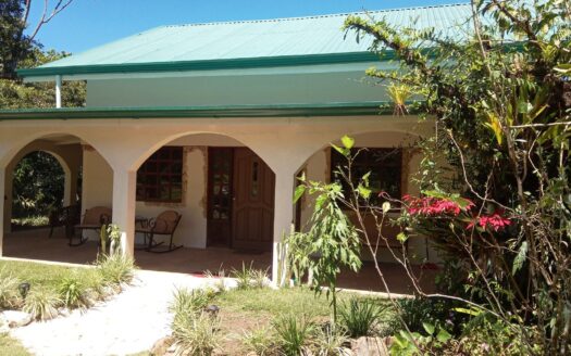 Private Eco-Paradise: 21.6 Acres of Pure Nature & Mediterranean Elegance 🌳