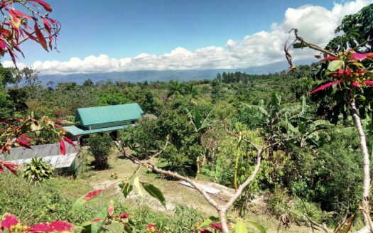 Private Eco-Paradise: 21.6 Acres of Pure Nature & Mediterranean Elegance 🌳