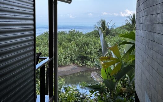 Income-Generating Dive Resort Business for Sale in Costa Rica | Boutique Hotel + Dive Operation | No Real Estate Included