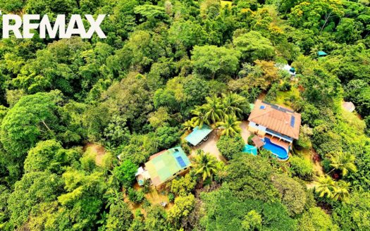 Cacao Farm & Tourism Income Producing Premium Estate with Multiple Homes – Walk to Beach – Near Pavones