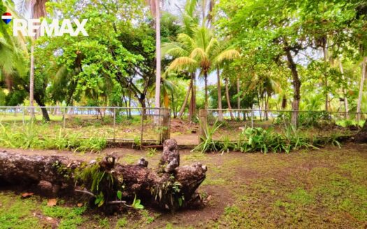 Affordable Oceanfront Opportunity in Playa Zancudo, Costa Rica – Wildlife, Privacy & Potential