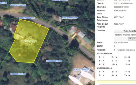 🏡 PROPIEDAD EN VENTA – AGUA BUENA, COTO BRUS 🌿