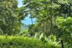 slider-thumb
