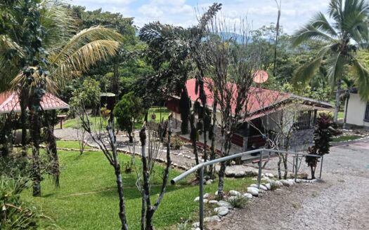 Propiedad con 2 casas en Sabanillas de Limoncito de Coto Brus