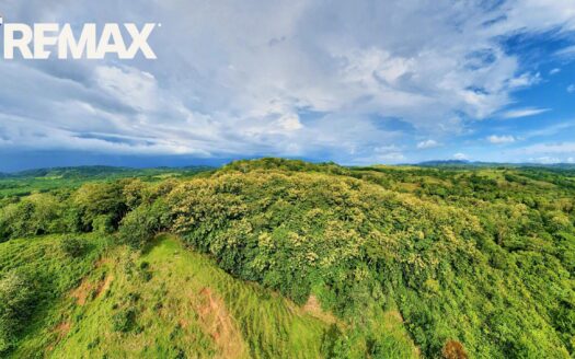 Titled Ocean View Land for Sale in La Virgen, Golfito, Puntarenas – 2.3 Hectares