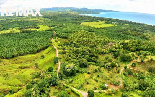 Ocean-View Titled Land in La Virgen, Pavones, Golfito — 2,058 m²