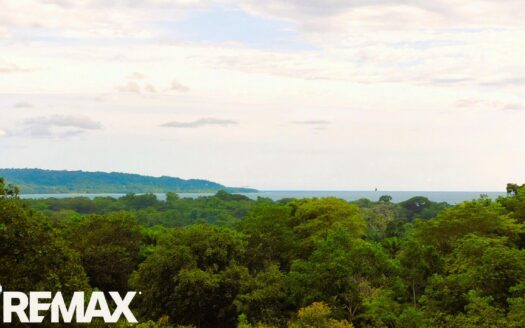 Ocean-View Titled Land in La Virgen, Pavones, Golfito — 2,058 m²