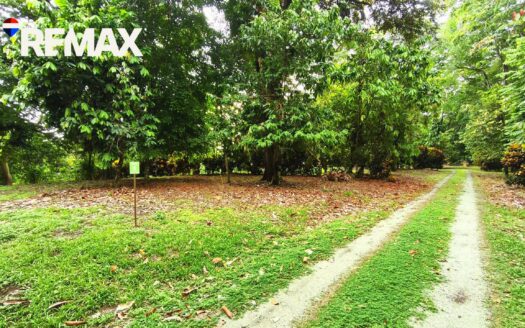 Titled Land in Zancudo, Costa Rica – 5,000m² – $67,500