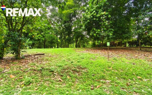 Titled Land in Zancudo, Costa Rica – 5,000m² – $67,500