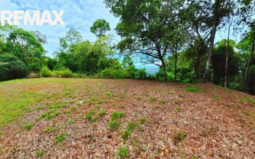 Golfito Bay View Land for Sale – 1.3 Hectares with Buildable flat area, Titled Property – $250,000