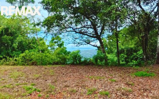 Golfito Bay View Land for Sale – 1.3 Hectares with Buildable flat area, Titled Property – $250,000