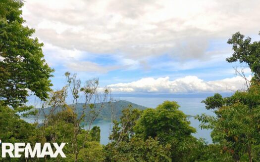 Ocean-View Hectare on Golfito Bay — Flat Building Plateau, Ready for a Stunning Split-Level Residence | $250,000