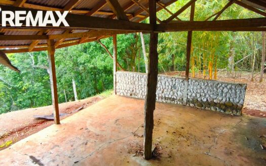 Ocean-View Hectare on Golfito Bay — Flat Building Plateau, Ready for a Stunning Split-Level Residence | $250,000