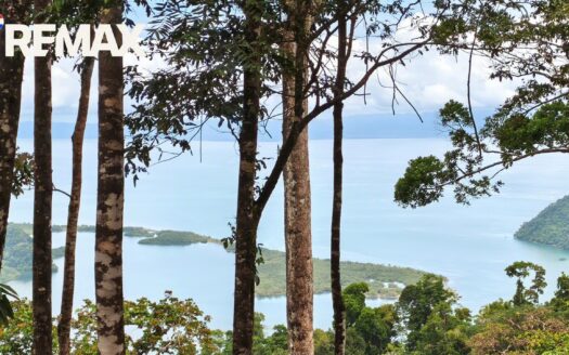 8.8 Hectares Overlooking Golfito Bay — A Rare Ridge, A Rare View