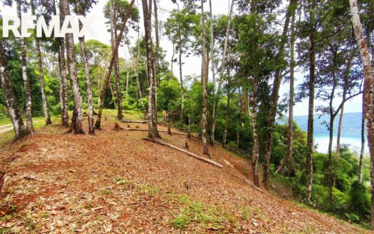 8.8 Hectares Overlooking Golfito Bay — A Rare Ridge, A Rare View