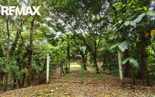 Ocean-View Hectare on Golfito Bay — Flat Building Plateau, Ready for a Stunning Split-Level Residence | $250,000