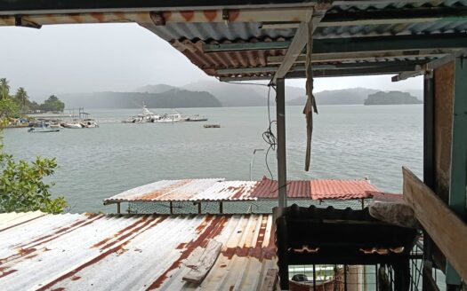 Fixer-Upper House with Private Dock & Boat Slip in Golfito