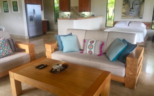 Turnkey Oceanview Property | Playa Pavones
