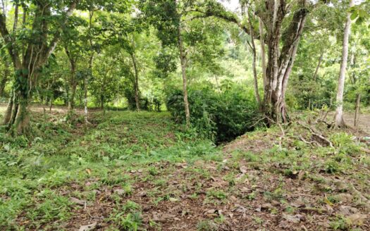 Build Your Dream Property Near Pavones Surf Beaches